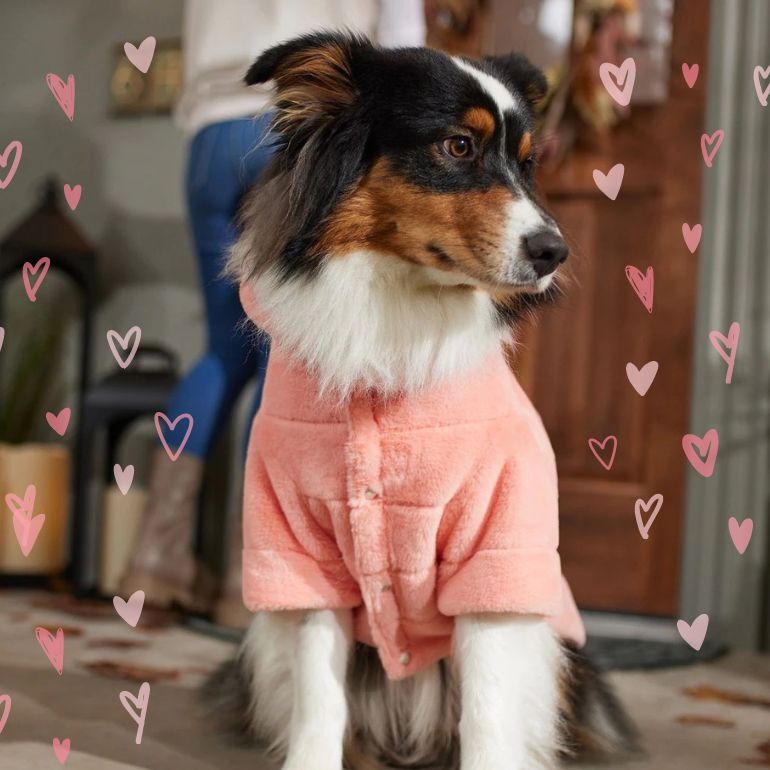 Frisco Faux Fur Pink Puffer Dog & Cat Coat