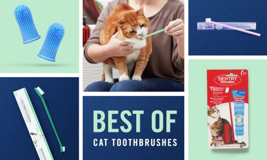 best cat toothbrushes