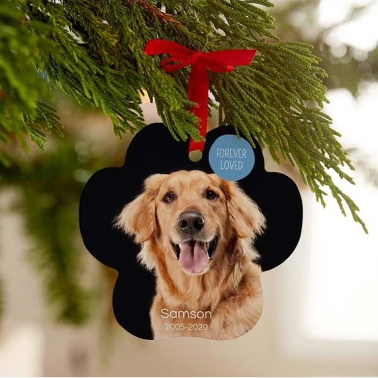 an ornament with a photo of a dog hanging on an evergreen tree