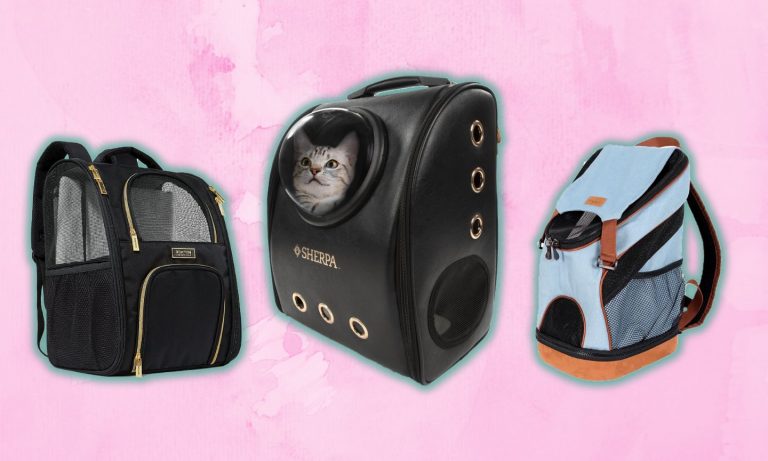 Finding the Perfect Cat Carrier – Choosing the Right Size Crate