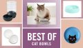 The Best Cat Bowls for Dishing Up Delicious Dinners