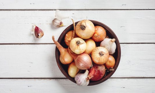 foods poisonous to birds - onions and garlic
