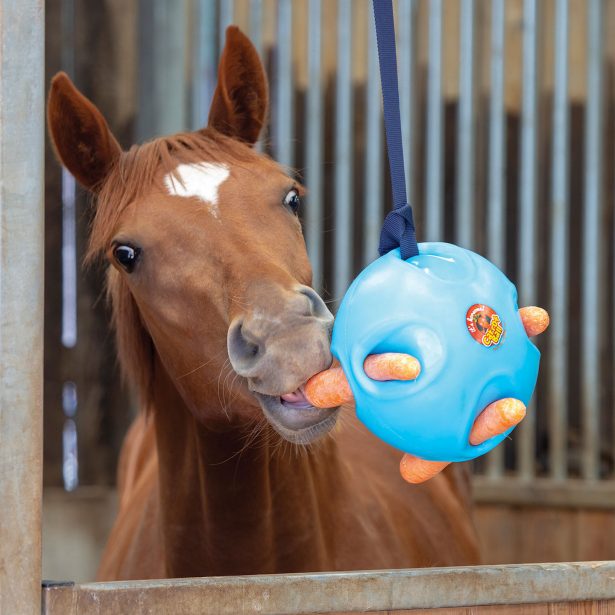 Keep Your Horse Mentally Stimulated With Horse Toys BeChewy