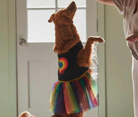 Wagatude Rainbow Heart Tank Dog Dress