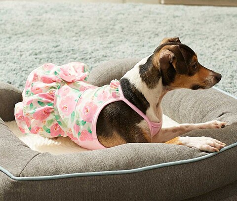 Frisco Pink Floral Dog & Cat Dress