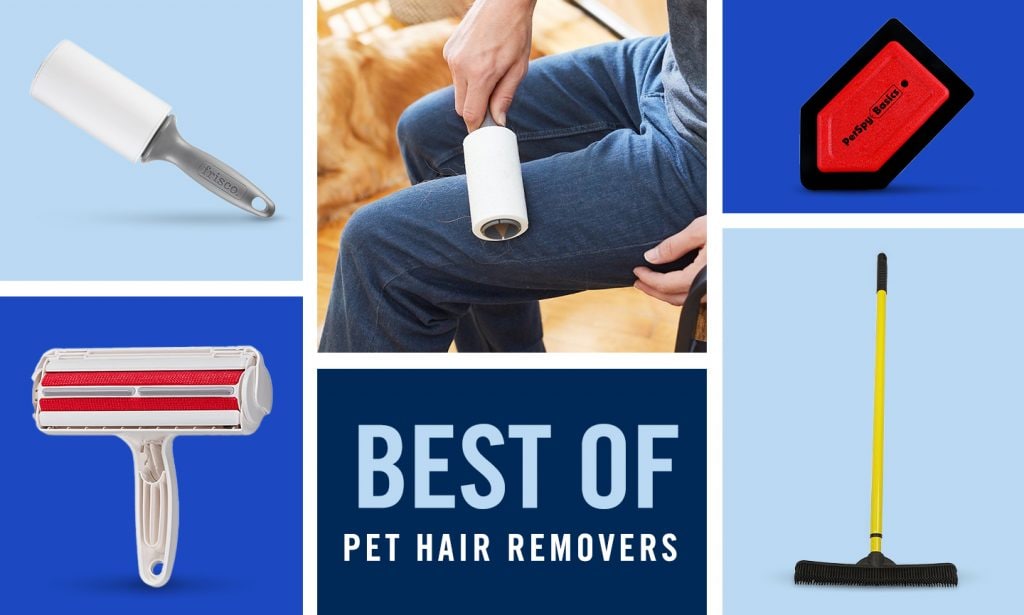 Best Pet Hair Removers