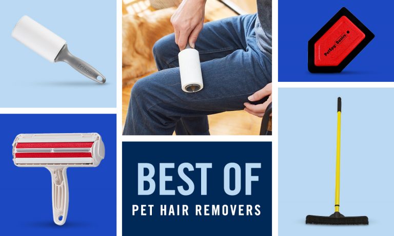 best pet hair remover