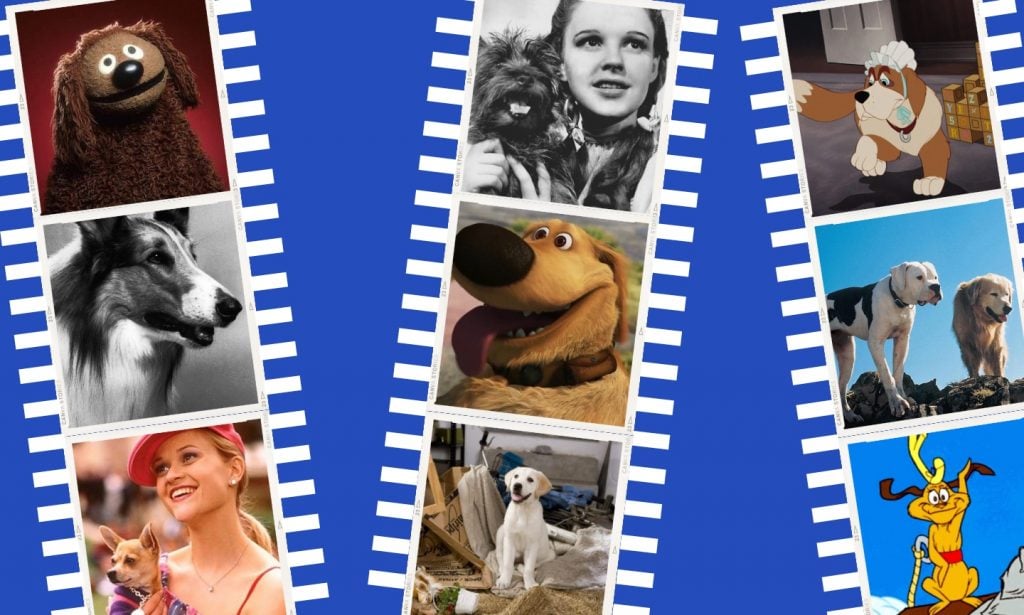 The 50 Best Movie Dogs in Hollywood History, Ranked | BeChewy