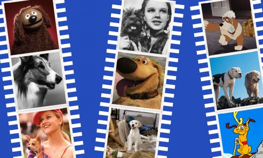 photos of dogs from movies, including Rowlf the muppet, Lassie, Bruiser from Legally Blonde, Toto and Dorothy, Dug from Up, Marley from Marley & Me, Nana from Peter Pan, the dogs from Homeward Bound and Max from How The Grinch Stole Christmas