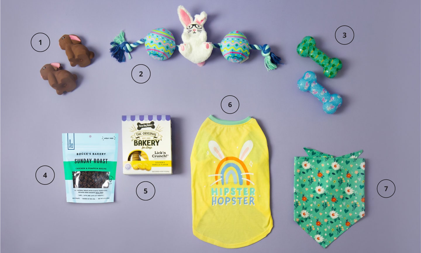 10 Best Gifts for a Dog Easter Basket 