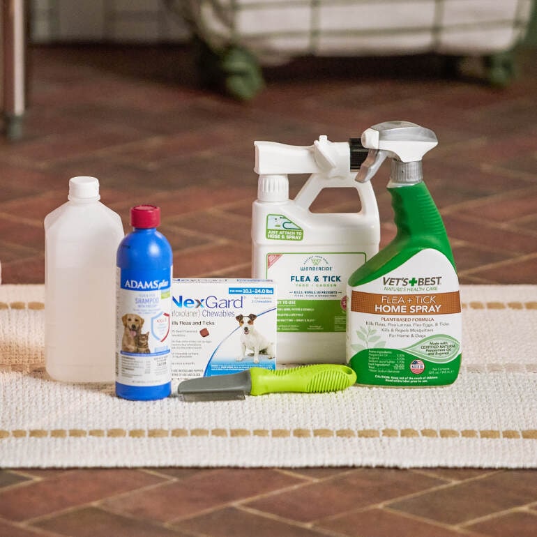 an array of flea killing products including flea comb, rubbing alcohol, flea and tick preventative treatment for dogs, and sprays for the home and yard