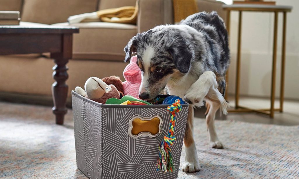 pet organization: dog toy bin
