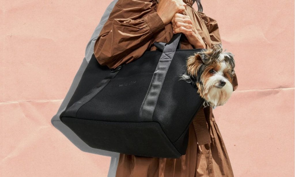 stylish pet carriers