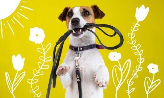new puppy printables