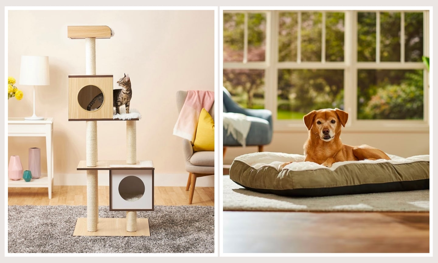 pet home decor trends: earth tones and textures