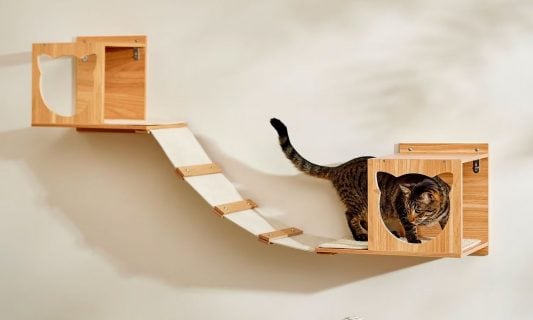 pet home decor trends: cat wall shelf bridge frisco