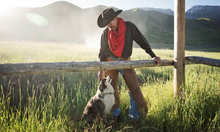 A man in a cowboy hat pets his dog standing next to a fence in the grass. Mountains are visible in the background