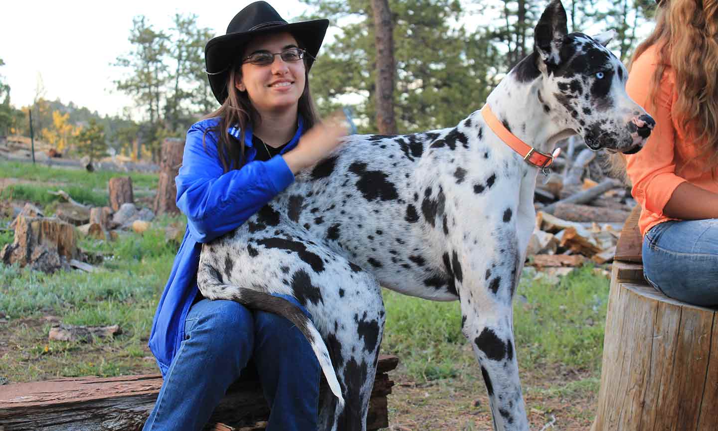 A woman wearing a cowboy hat pets a large black and white dog