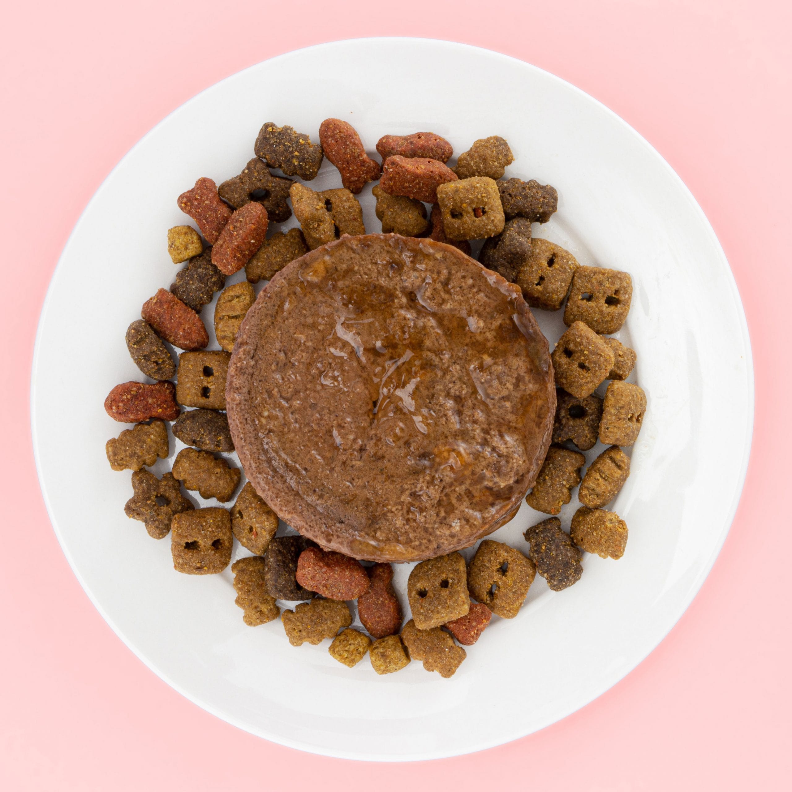 Can Dog Food Cause Diarrhea In Dogs Outlet Laseb fae ufmg br