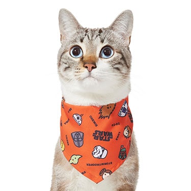 STAR WARS Pictogram Dog & Cat Bandana