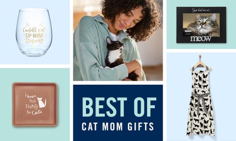 The Best Gifts for Cat Moms | BeChewy