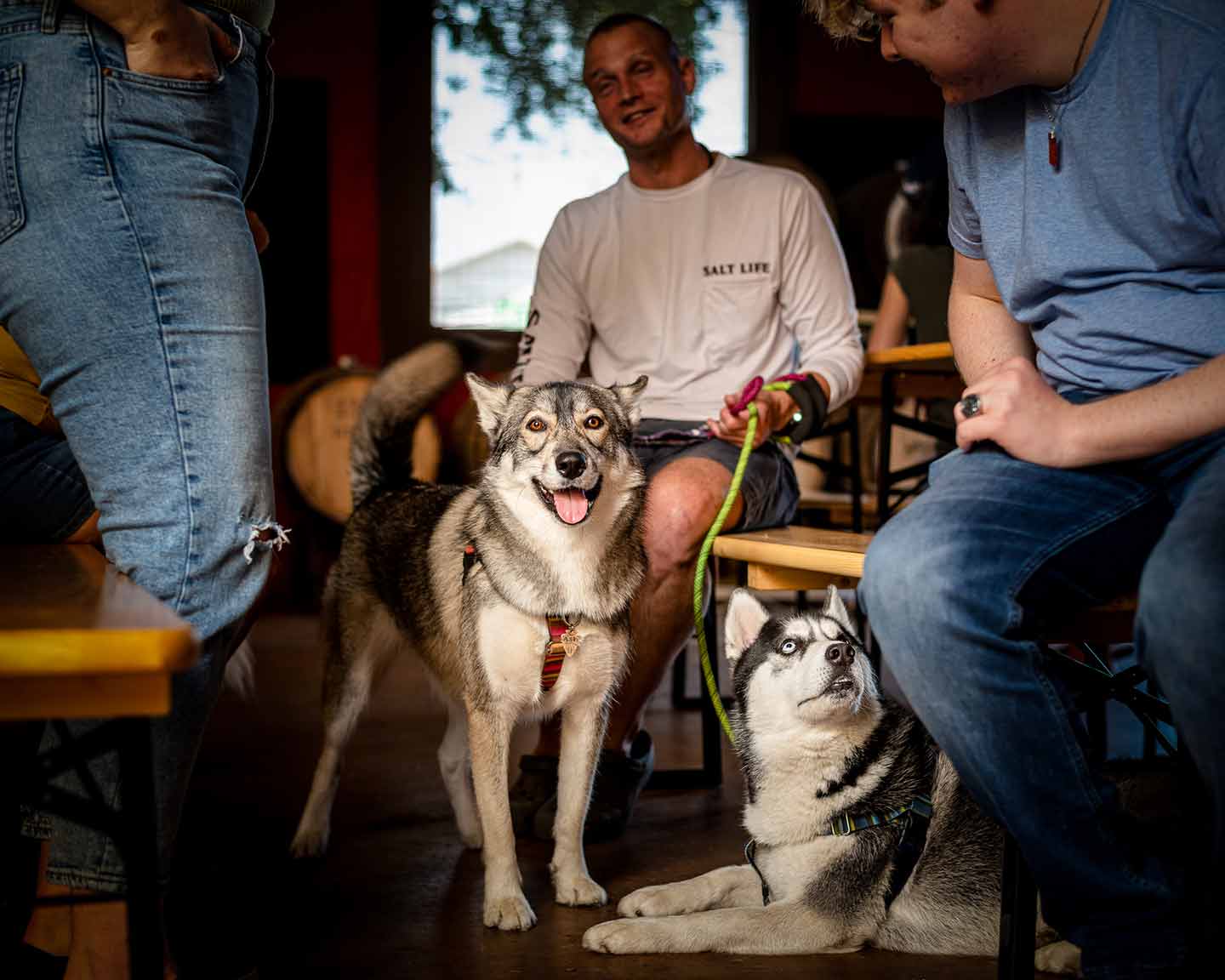 Men sitting inside Pinellas Ale Works with dogs