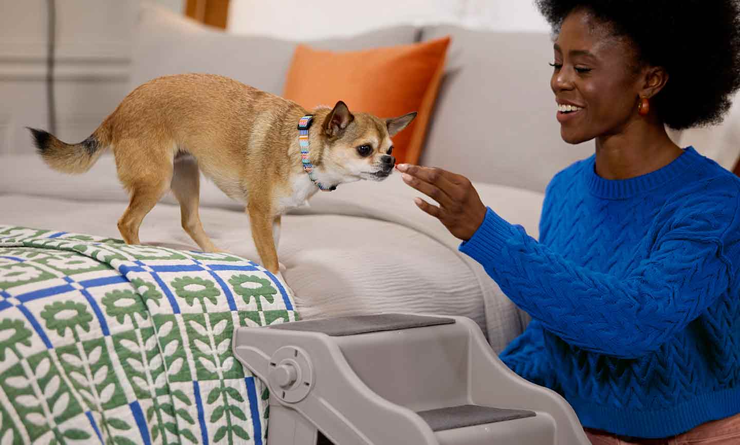 A woman giving treats to her dog, who is standing on top of the bed