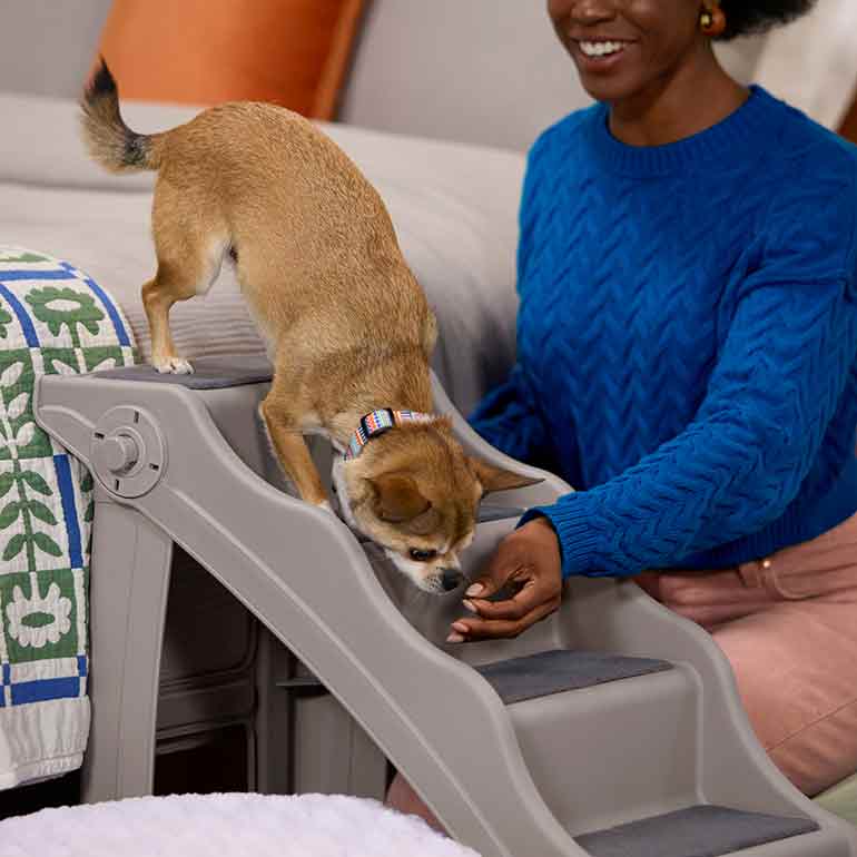 A woman luring a dog down a set of pet steps using a treat