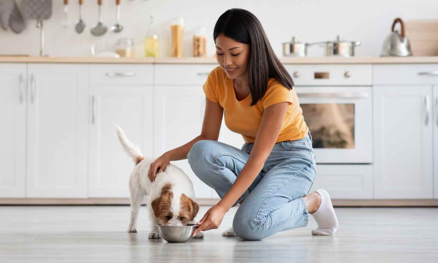 Ways to slow outlet down dog eating