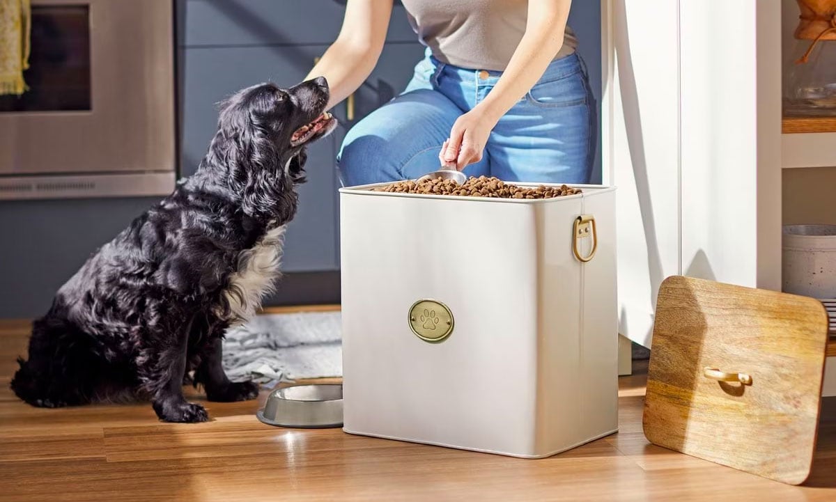 Pet Parent's Guide to Choosing the Right Dog Food Bowl