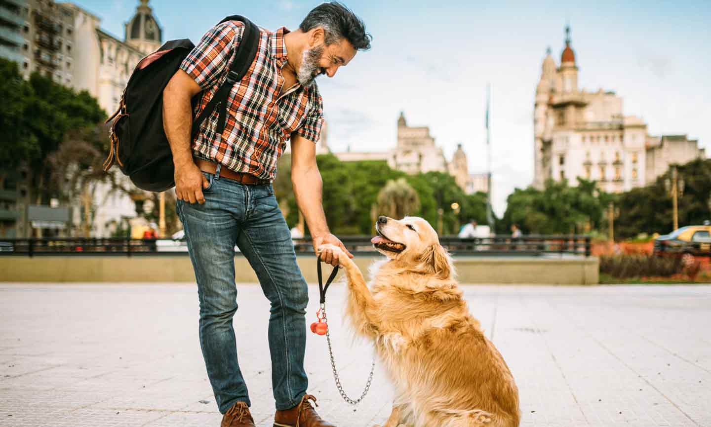 A Golden Retriever performing the "shake" command with a man in an outdoor urban setting