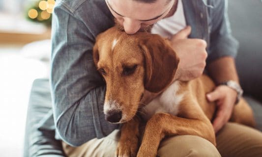 How to Care for and Comfort a Dog with Cancer | BeChewy