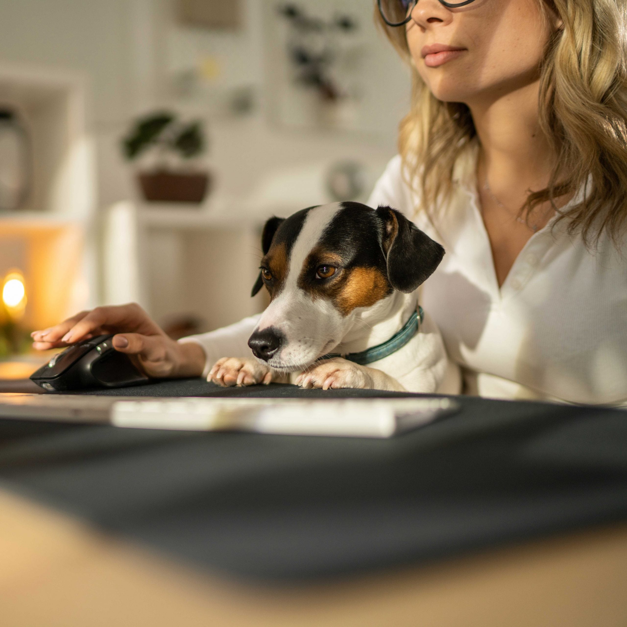 how to comfort a dog with cancer: pet parent on computer with dog
