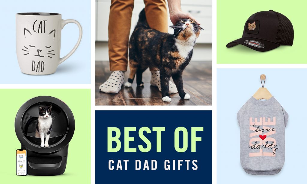 https://media-be.chewy.com/wp-content/uploads/2023/05/17175639/best-gifts-for-cat-dads-1024x615.jpg