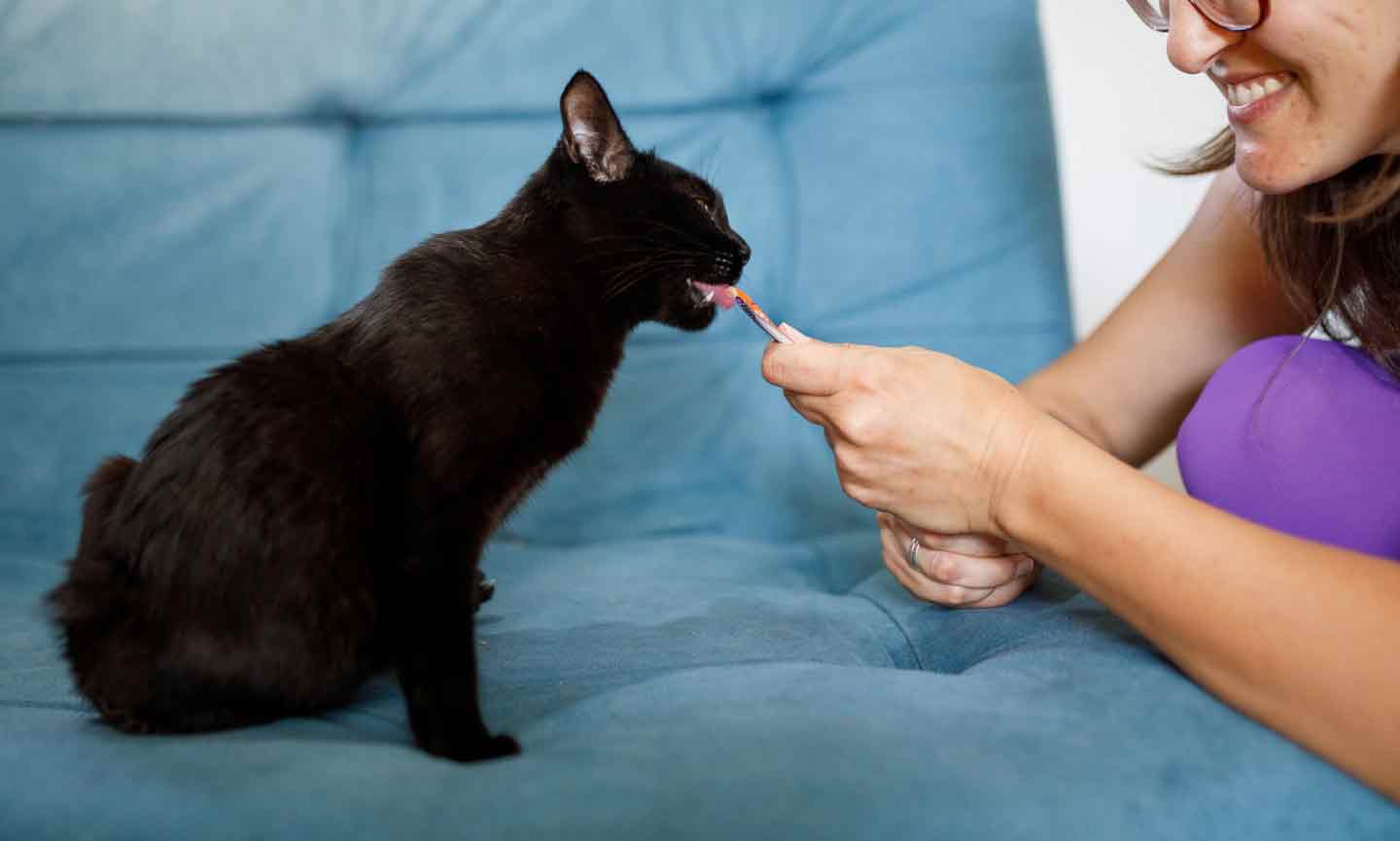 A woman feeding a treat to a black kitten