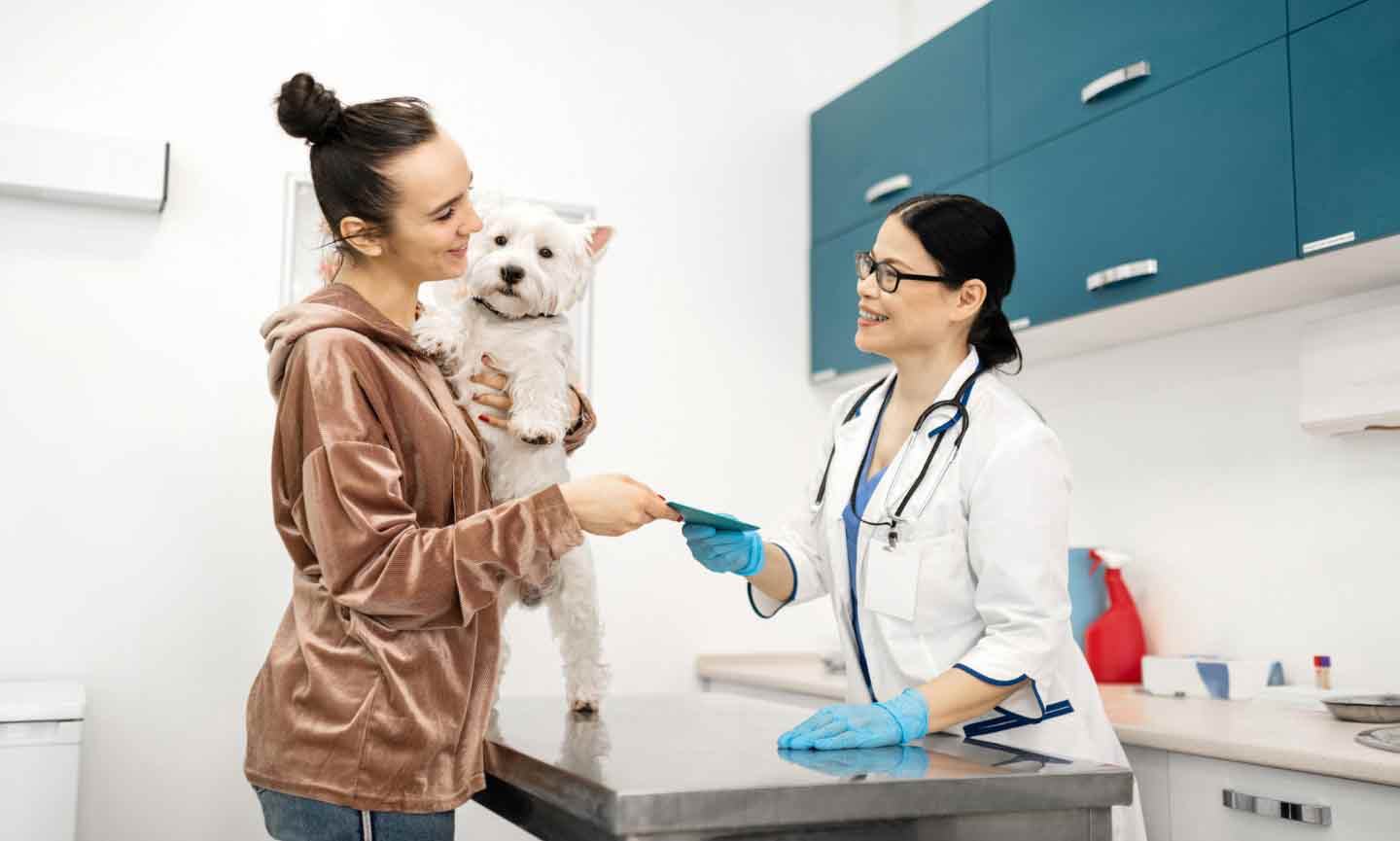 A pet parent taking medical records from a veterinarian