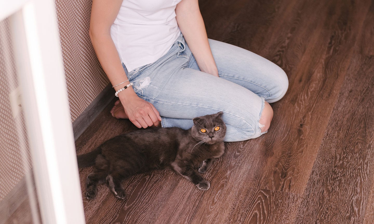 how to get a cat to like you - woman not pursuing the cat