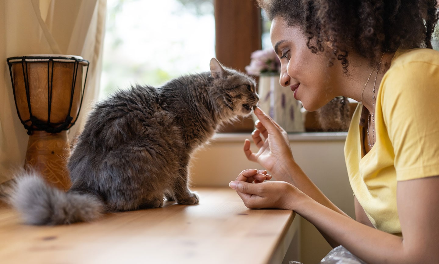 how to get a cat to like you - woman giving cat treats