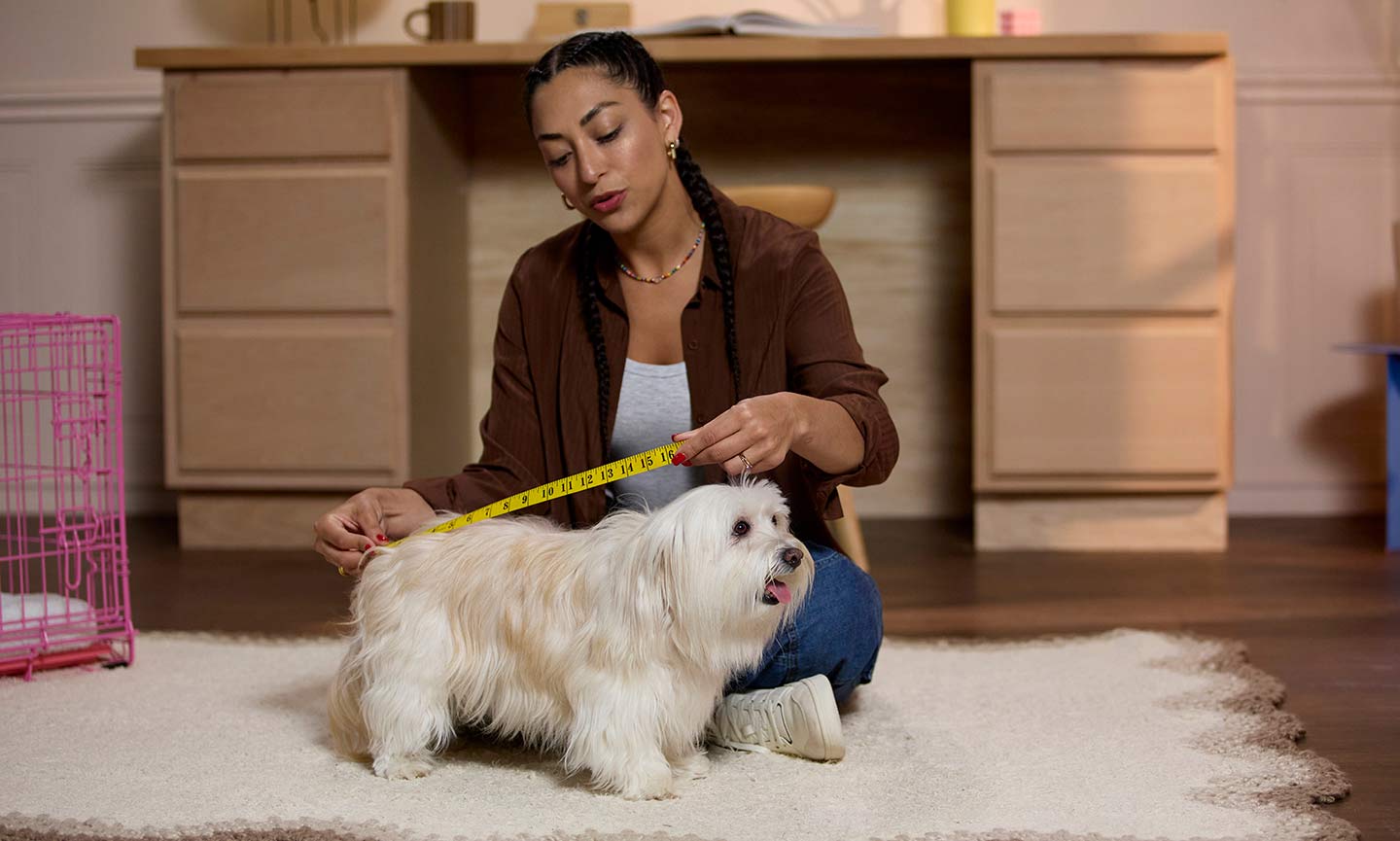 A woman measuring her dog's length