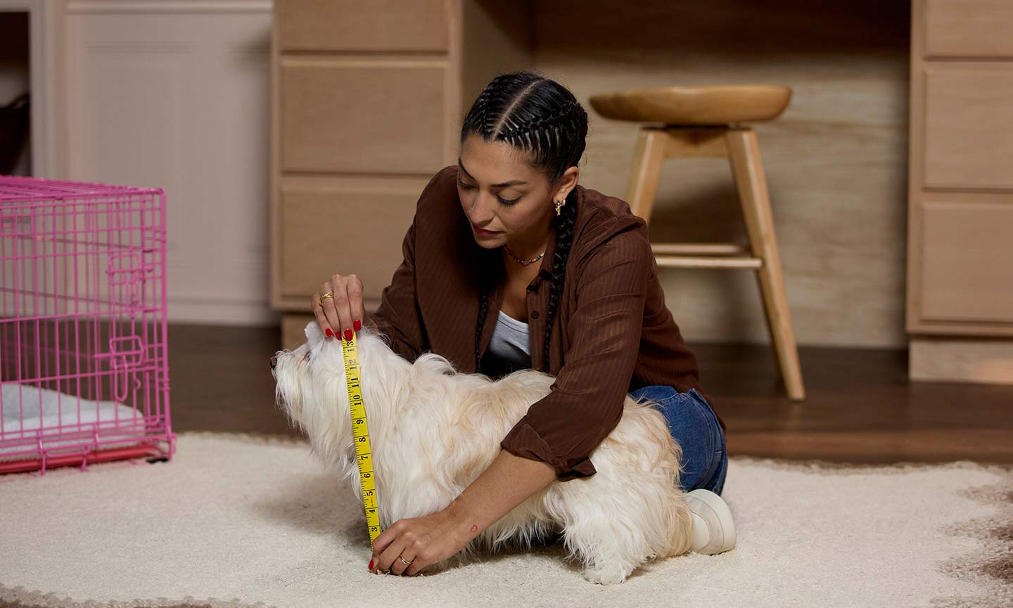 A woman measuring her dog's height