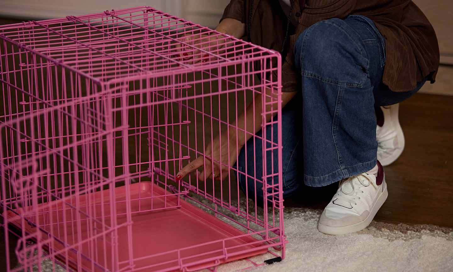 what-size-crate-should-i-get-for-my-dog-here-s-how-to-tell