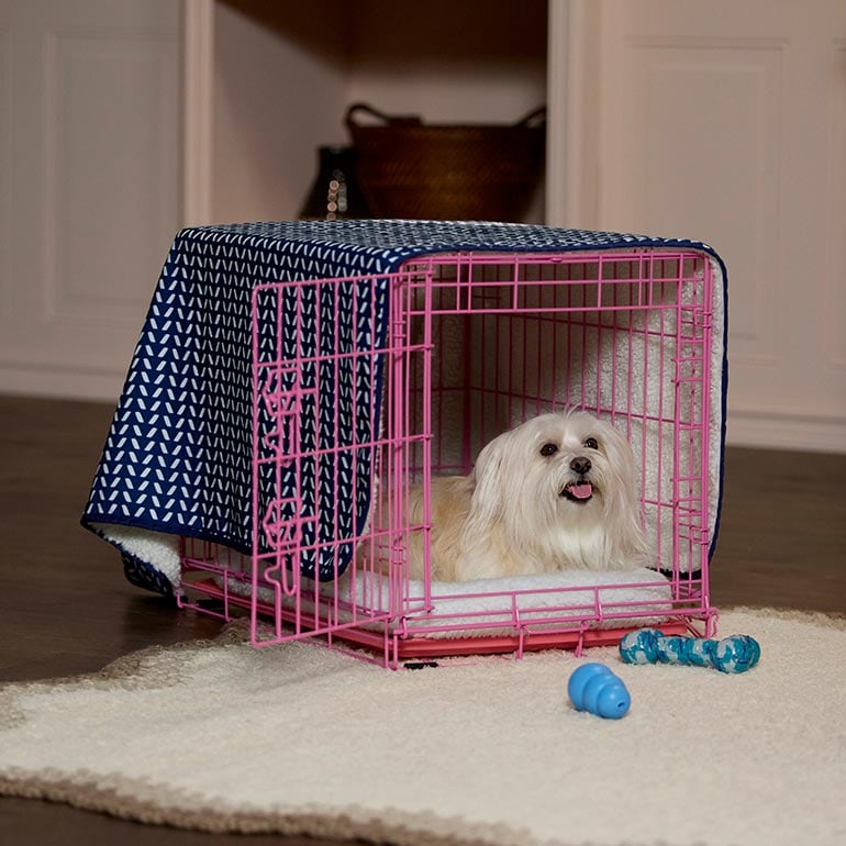 A dog laying comfortably in a crate