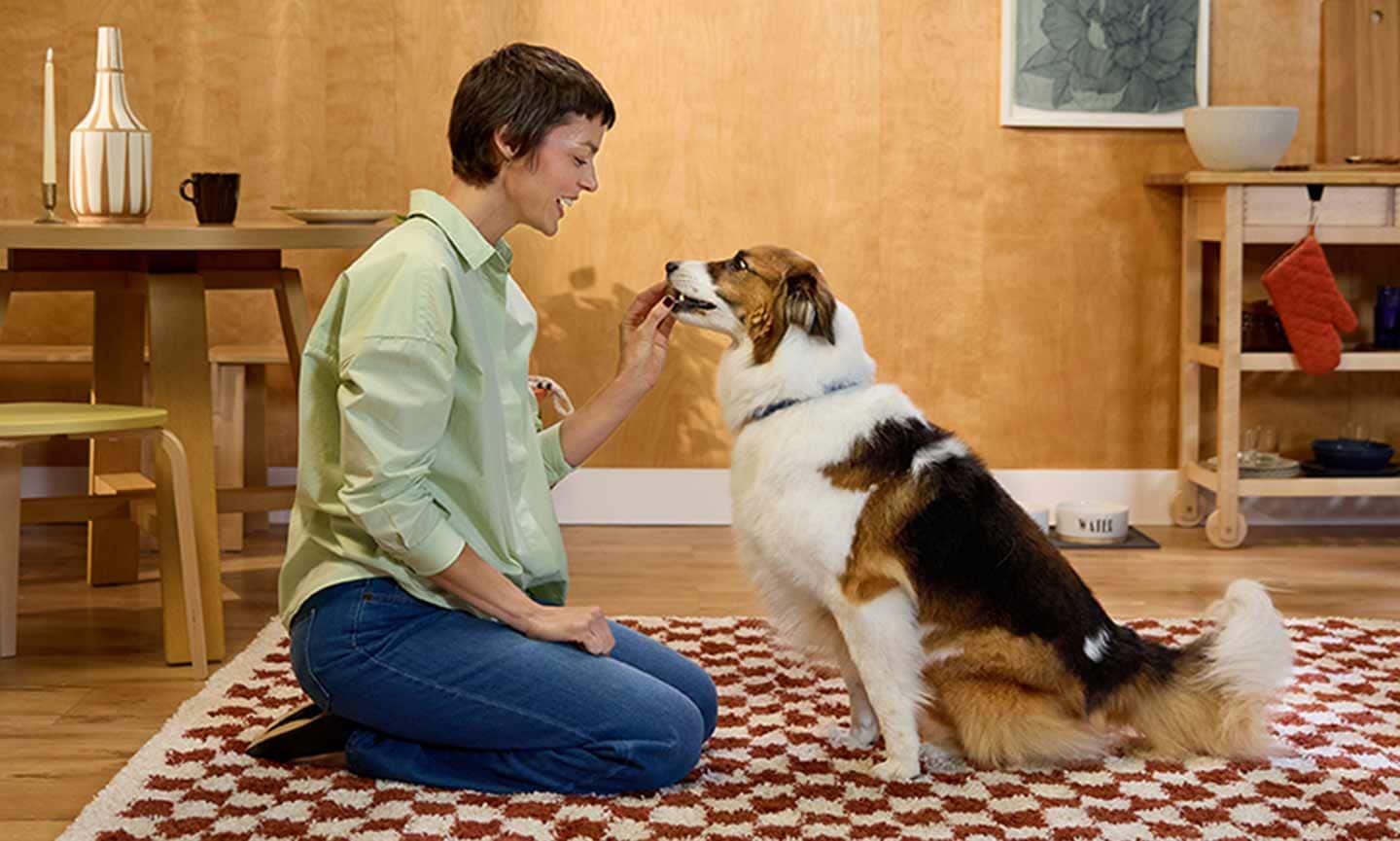 4 Ways to Give a Dog a Pill BeChewy
