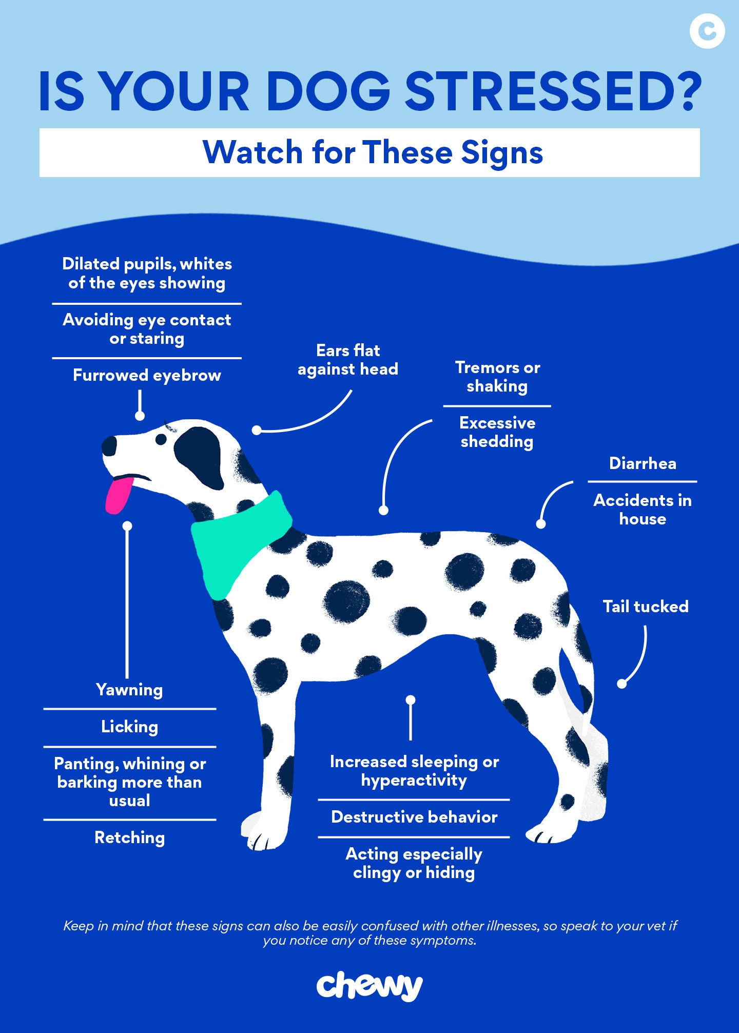 Is your dog stressed?