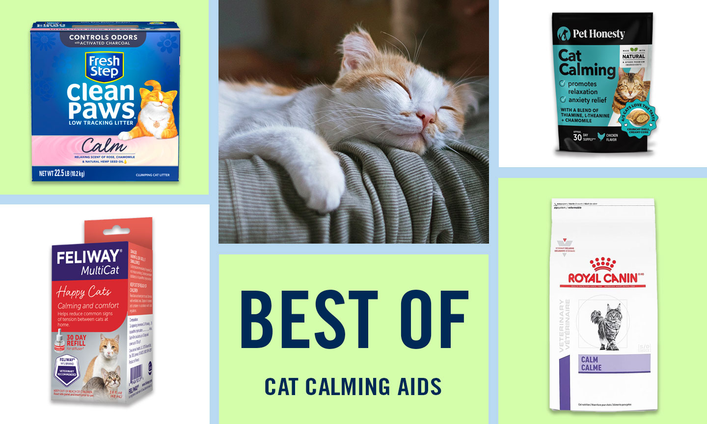 7 Best Cat Calming Aids According to Cat Parents BeChewy