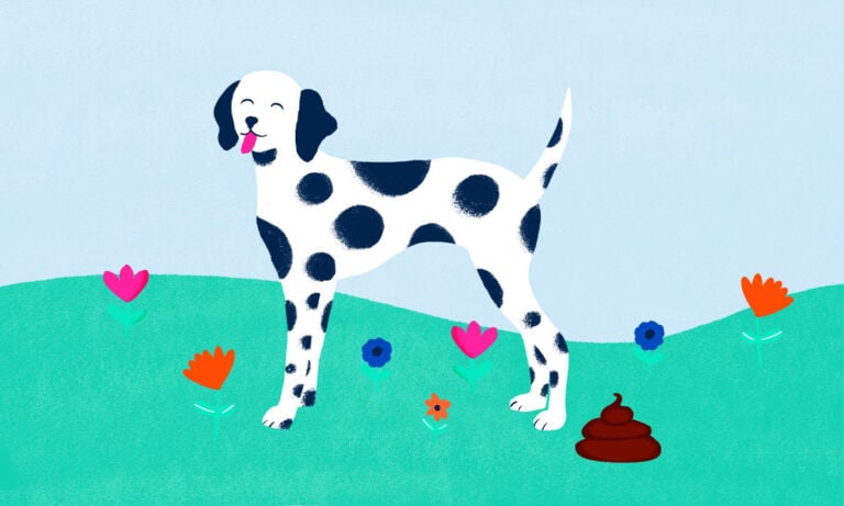 Dog Poop Color Chart: Is Your Dog's Poop Healthy? | BeChewy