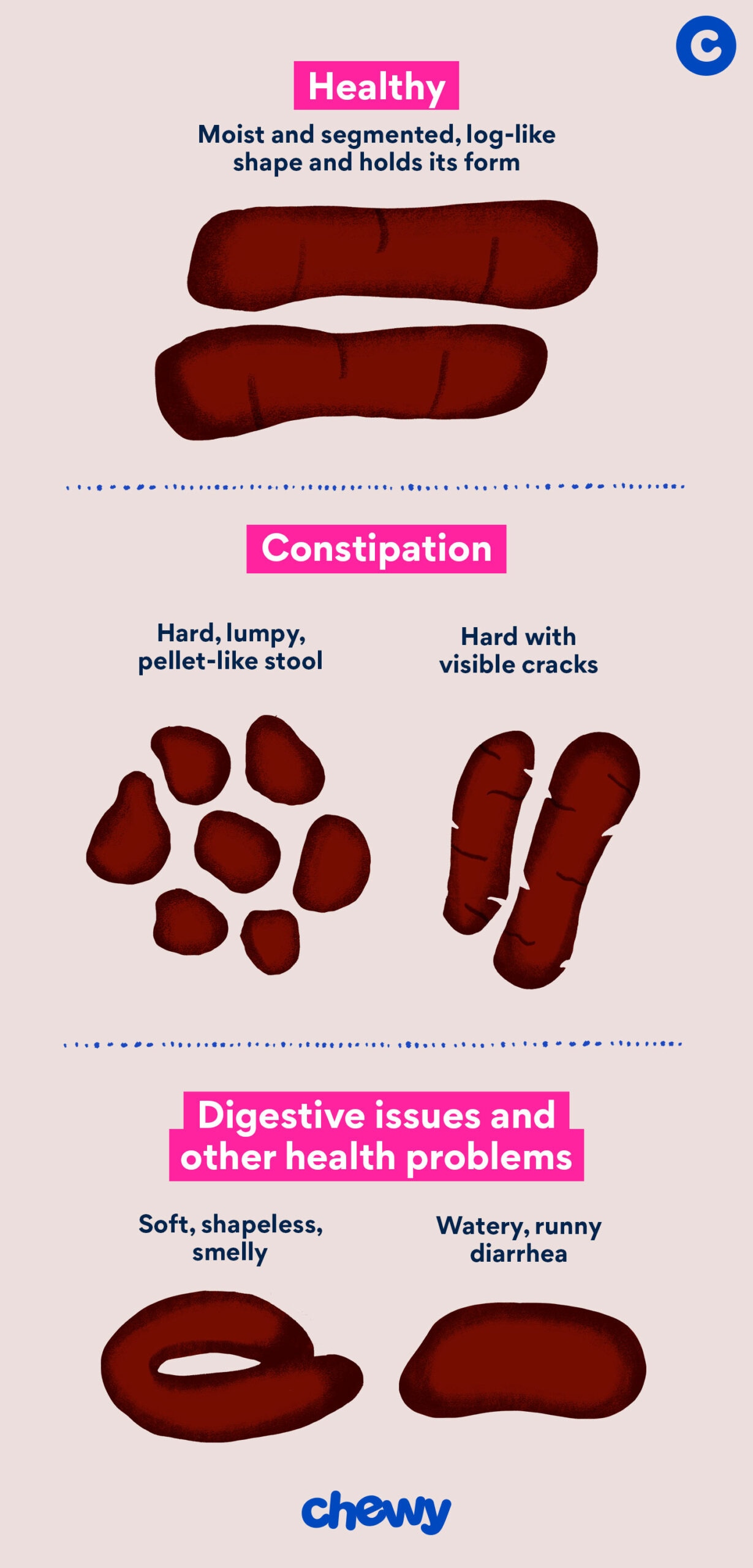 Dog Poop Color Chart, What's Normal?