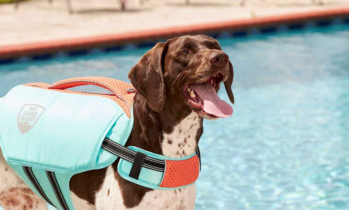 Pool safety ramp for dogs best sale