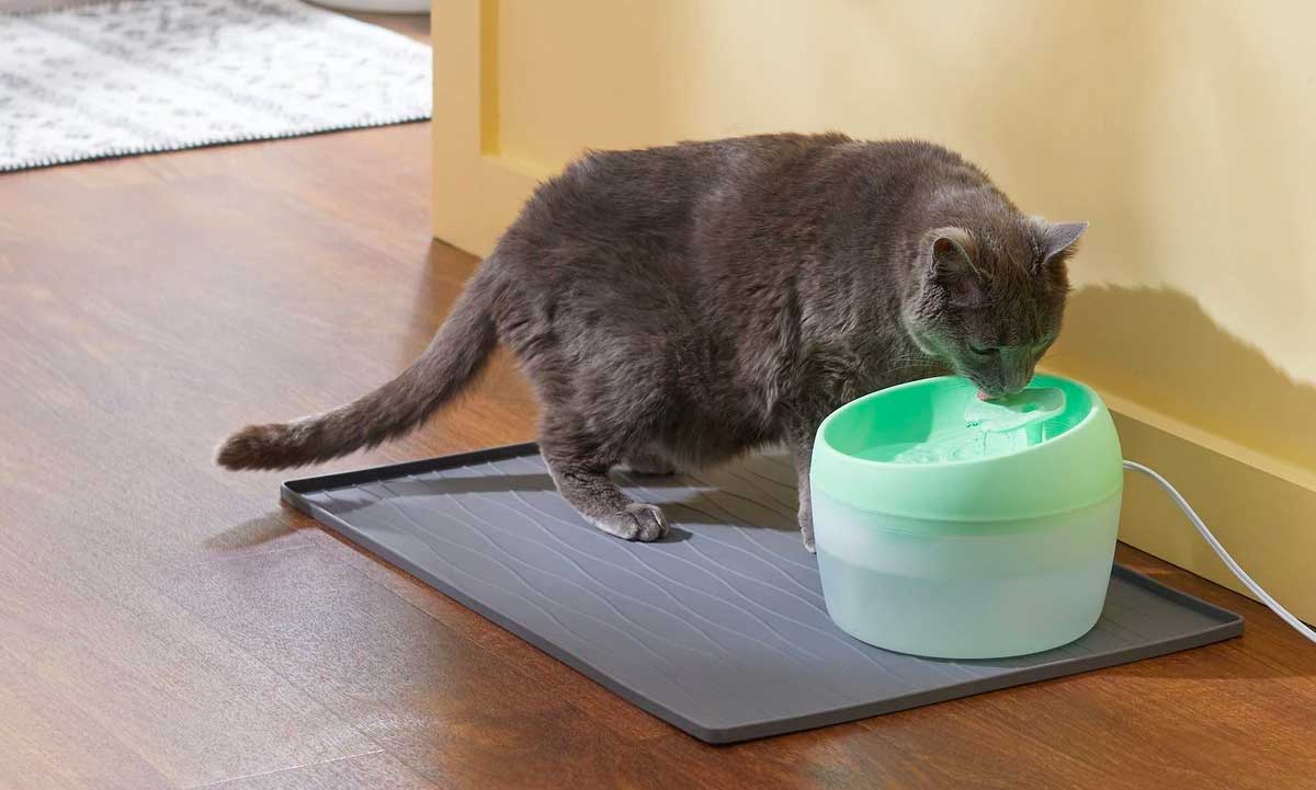 overheating in cats: cat drinking water fountain