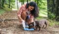 8 Signs of Dehydration in Dogs and How to Help Hydrate Them
